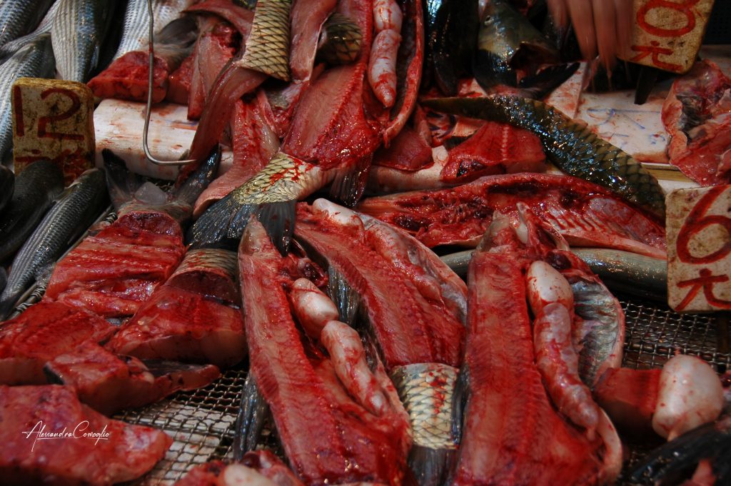 Hong Kong mercato del pesce sangue altro